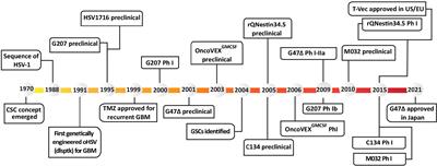 Oncolytic herpes simplex viruses for the treatment of glioma and targeting glioblastoma stem-like cells